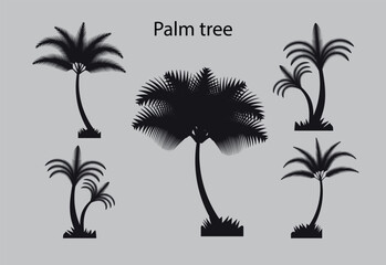 Palm tree vector file