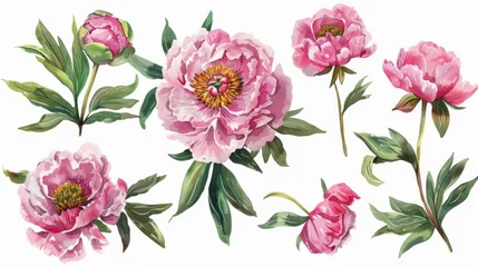  Flowers painted in pink watercolors with a collection of modern florals © Mark