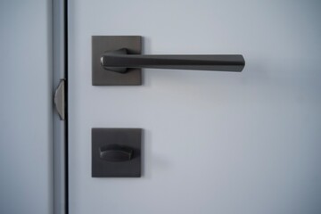 double handle
room door
door fittings
door lock - obrazy, fototapety, plakaty