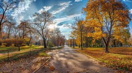 City park. Panorama of a beautiful park