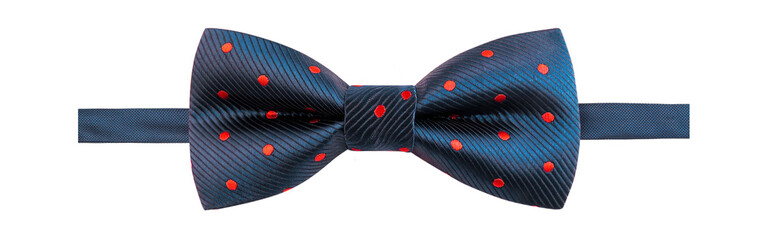 Blue with red polka dots bow tie