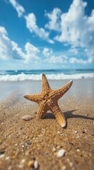 Fototapeta na wymiar Starfish on the summer beach. Summer background. Tropical sand beach