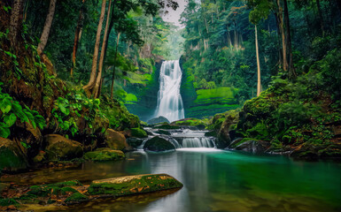waterfall in the jungle