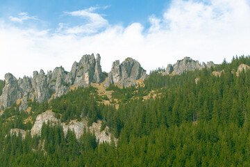 Beautiful mountain landscape. Rocky peaks and spruce forest.
