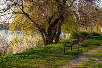 bench in the park, Baneasa Lake, Bucharest City, Romania 