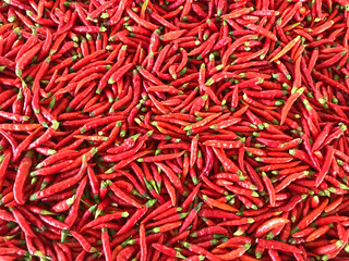 Fototapeta premium Thai dried chilies for cooking