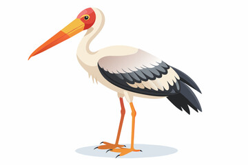 Painted stork vector with white background.