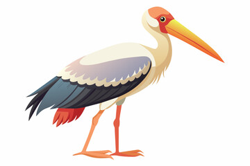 Painted stork vector with white background.