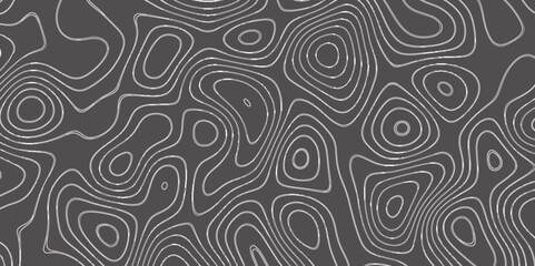 Modern Topographic map terrain texture and landscape grid abstract vector background. Contour lines. Dark seamless design, elegant tileable isolines pattern. Blank Detailed topographic patter line map