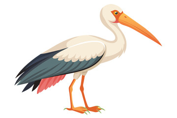 Painted stork vector with white background.