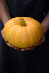 Small yellow pumpkin in human hands on dark background