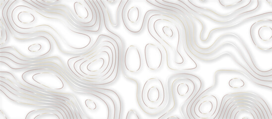 Abstract topographic contours 3d map background .topographic line texture background .monochrome image .stylized height of the topographic map contour in lines.	