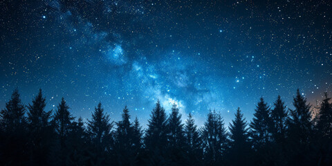 A clear night sky with stars and the silhouette of trees,beautiful night forest, A dark blue sky with stars above the silhouette of trees at night ,banner