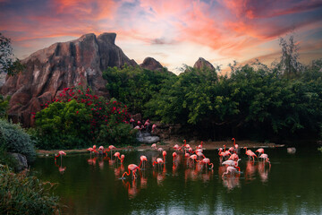 Pink flamingos on the lake against the backdrop of mountains and a beautiful sunset