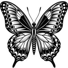 black and white butterfly,butterfly Silhouette Graphics Vector Illustration,head of a element black butterfly Svg t shirts Design, Laser Cut File Cricut,monarch butterfly contours on white background