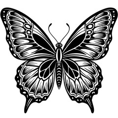black and white butterfly,butterfly Silhouette Graphics Vector Illustration,head of a element black butterfly Svg t shirts Design, Laser Cut File Cricut,monarch butterfly contours on white background