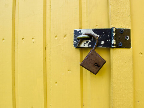An old and rusty unlocked padlock hangs in the worn bracken of a yellow wooden door to a tool shed in the garden.