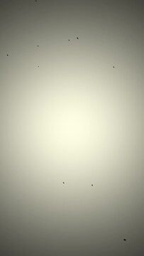 塵が降り注ぐパーティクル縦型アニメーション　6