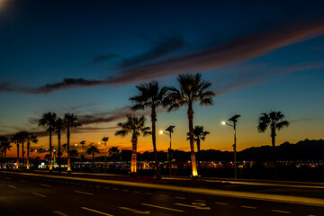 Night view of the road with palm trees in Sharm el Sheikh in Egypt.