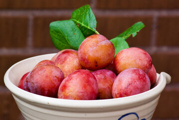 Close-up of fresh newly picked Victoria plums with its green leaves in a stoneware bowl outdoors in...