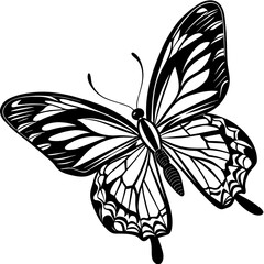 black and white butterfly,butterfly Silhouette Graphics Vector Illustration,head of a element black butterfly Svg t shirts Design, Laser Cut File Cricut,monarch butterfly contours on white background