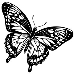 black and white butterfly,butterfly Silhouette Graphics Vector Illustration,head of a element black butterfly Svg t shirts Design, Laser Cut File Cricut,monarch butterfly contours on white background