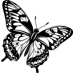 black and white butterfly,butterfly Silhouette Graphics Vector Illustration,head of a element black butterfly Svg t shirts Design, Laser Cut File Cricut,monarch butterfly contours on white background