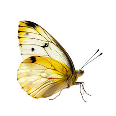 A butterfly with white and yellow wings is flying in the air. Generative AI