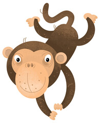 cartoon scene with monkey ape animal theme isolated on white background illustration for children