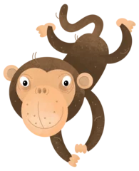 Fototapete cartoon scene with monkey ape animal theme isolated on white background illustration for children © agaes8080