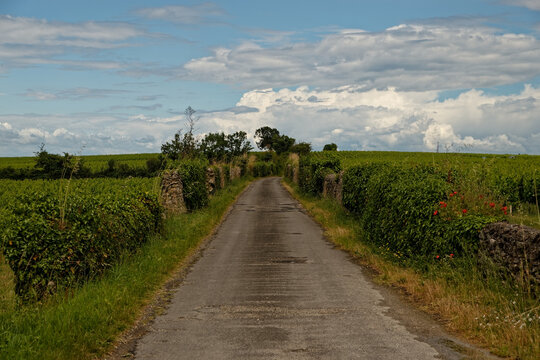 Route de campagne rurale avec ciel bleu nuageux