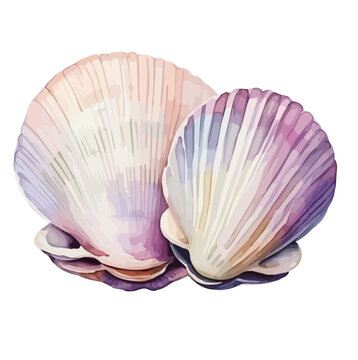 recommend clip art: Watercolor painting of set seashell (sea shell), isolated on a white background, drawing clipart, Illustration Vector, Graphic Painting, design art, logo, seashell vector 