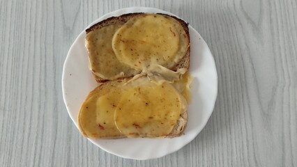 Two delicious sandwiches with cheese melted in the microwave on a plate