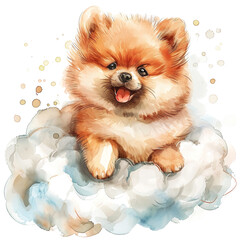 Pomeranian Watercolor Portrait