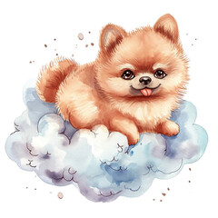 Pomeranian Watercolor Portrait