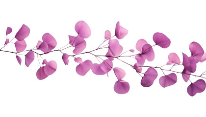 branch of purple lilac flowers isolated on transparent background cutout