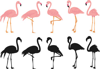 Obraz premium flamingo pink set on white background vector