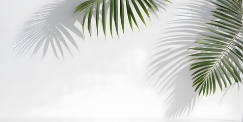 Abstract Spring and summer background for product presentation, blurred shadow from palm leaves on the white wall. 