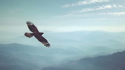 Fototapeta premium A solitary hawk soaring gracefully through a vast, blue sky, with distant mountains fading into a hazy, blurred horizon