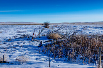 Snowy farmers fields, Rocky View County Alberta Canada