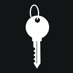 key icon. key button vector icon.