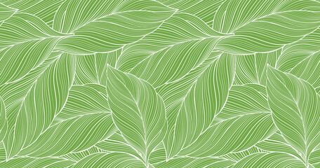Plakaty  Vector green tropical background with palm leaves for decor, covers, backgrounds, wallpapers
