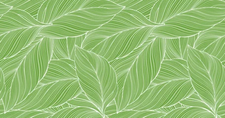 Gartenposter Vector green tropical background with palm leaves for decor, covers, backgrounds, wallpapers © FourLeafLover
