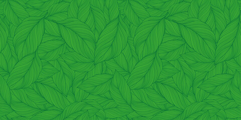 Vector green tropical background with palm leaves for decor, covers, backgrounds, wallpapers - obrazy, fototapety, plakaty