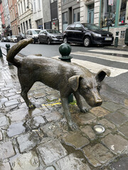 Pissing dog statue in Brussels, Belgium
