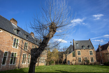 Houses And Lawn Beguinage Leuwen