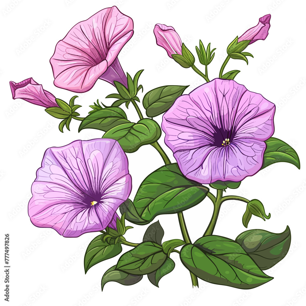 Poster Hibiscus flowers