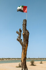 United Arab Emirates -  Al Quadra Lake - Flag on the Tree