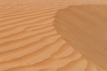 Fototapeta na wymiar United Arab Emirates - Liwa Oasis desert