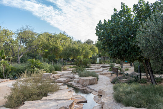 United Arab Emirates - Umm Al Emarat Park 